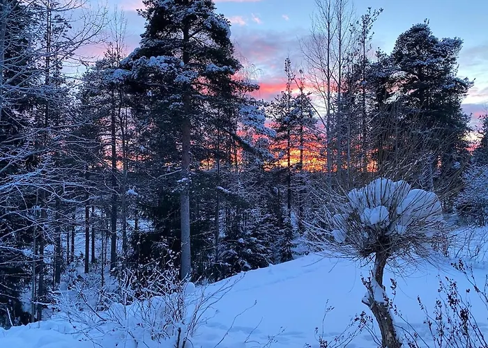 公寓 Family Kuusirinne *