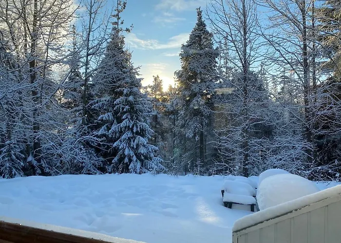 Family Kuusirinne * 罗瓦涅米